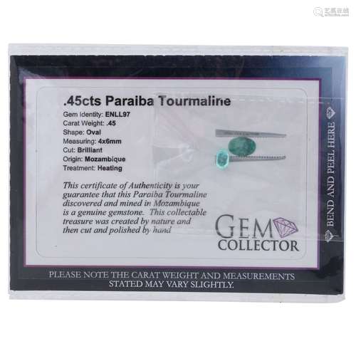 1 loser Paraiba Turmalin von 0,45 ct