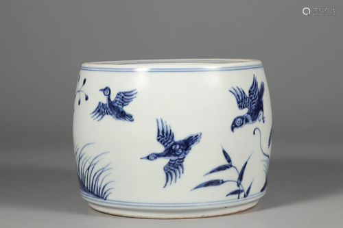 Blue White' Cricket Jar