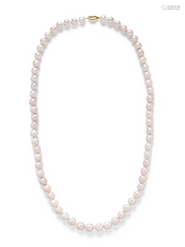 CULTURED SOUTH SEA PEARL NECKLACE