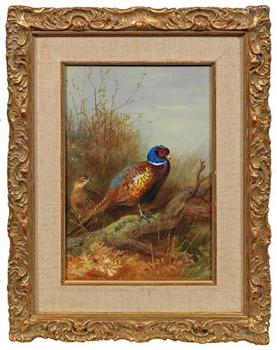 Archibald Thorburn