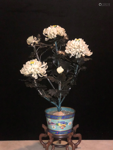 Beautiful Chinese Jade Chrysanthemum Tree in Cloisonne