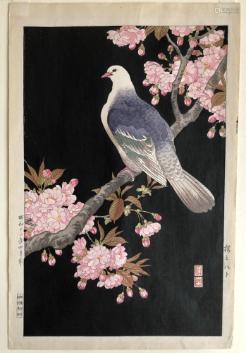 Nishimura Hodo - Japanese Woodblock, Pigeon and Cherry