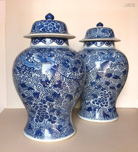 Large Pair of Chinese Blue and White Jars, 18-19th Cen.