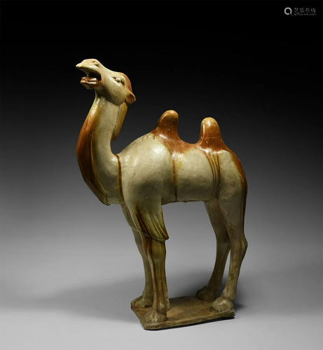 'The Desmond Morris' Chinese Tang Camel