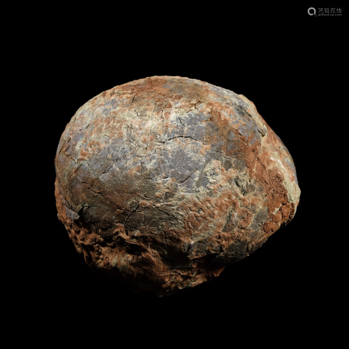 Large Fossil Hadrosaur Dinosaur Egg