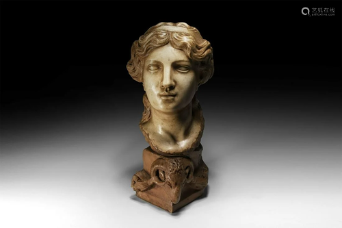 Renaissance Circle of Simone Bianco, Marble Head