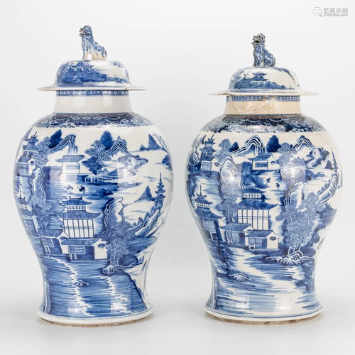 A pair of Chinese vases with blue-white decor and