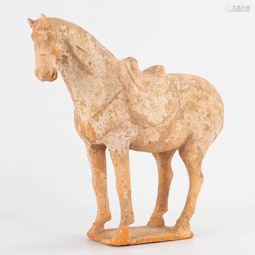 A Chinese terracotta figurine of a horse, Tang Dynasty.