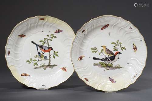 Pair of large Meissen bowls with polychrome painting 