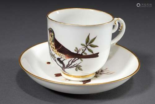 Meissen cup/saucer with polychrome painting 