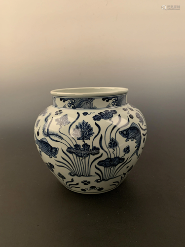 Chinese Blue and White Fish Jar with Xuande Mark