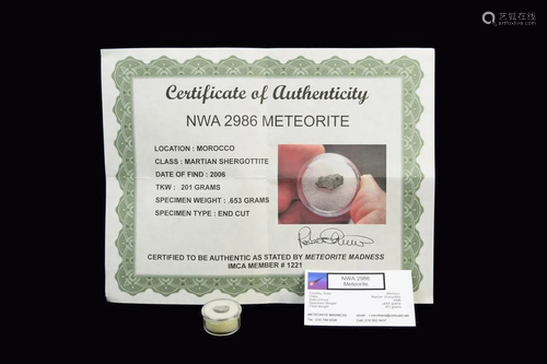 A NWA 2986 Martian Meteorite (Shergottite) with