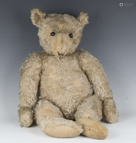 A rare Steiff mohair centre-seam humpback growler teddy bear...