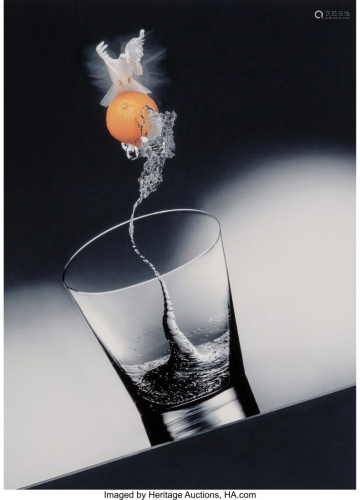 Ryszard Horowitz (Polish, 1939) Water Bird, 1996