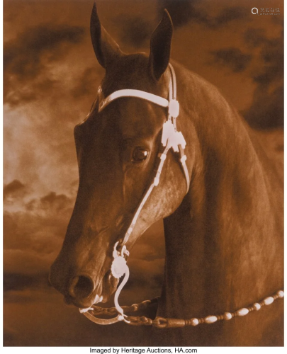 Michael Eastman (American, b. 1947) Horse #5, 19
