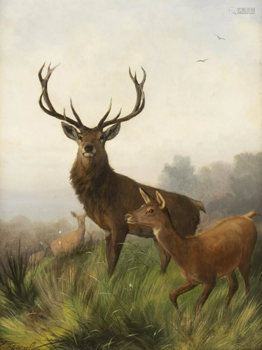 CARL FRIEDRICH DEIKER, WILD AUF EINER LICHTUNG