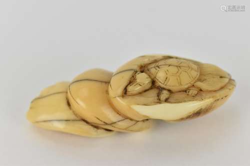 A Japanese Edo period 18th century, ivory netsuke, of a tort...