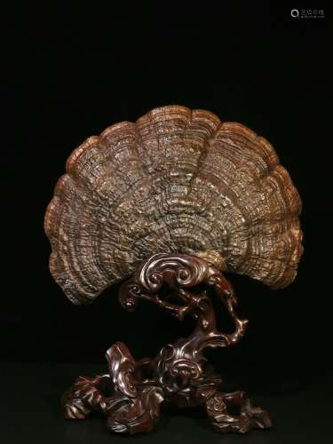 Quality Good. Old Collection. Lucid Ganoderma Ornament（ Red ...