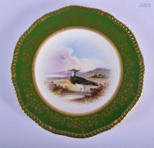 Coalport fine plate painted with a Plover, titled, by
