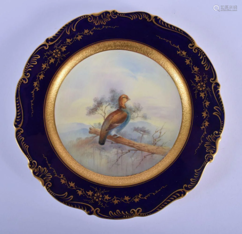 Coalport fine plate painted with a Capercaillie,