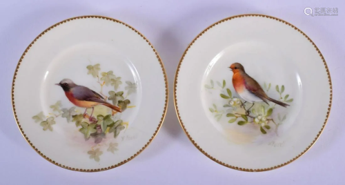 Royal Worcester pair of plate painted with a Robin or a