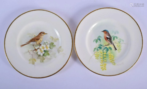 Royal Worcester two plates painted with either a