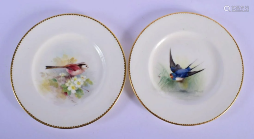 Royal Worcester two plates painted with either a