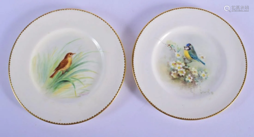 Royal Worcester two plates painted with either a