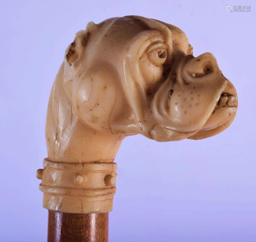 A 19TH CENTURY CONTINENTAL CARVED DOG HEAD …