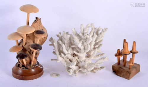 TWO YEW WOOD FOLK ART TYPE NATURAL HISTORY TOADSTOOL