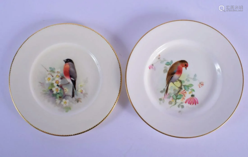 Royal Worcester plate painted with a Robin and another