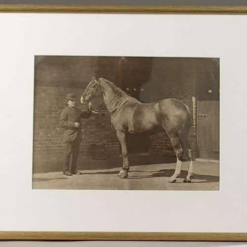Photographie argentique d'un cheval et son écuyer.Vers 1900.