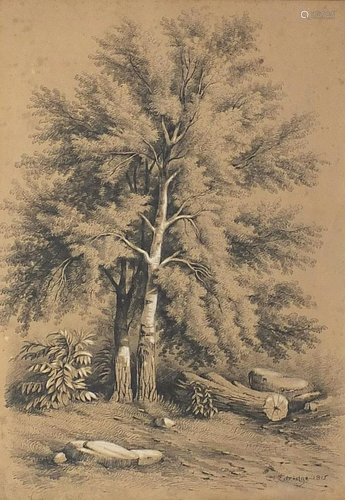 Henry Edridge 1815- Trees, early 19th century