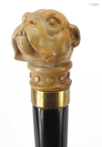 Hardwood walking stick with bulldog design pommel, 92