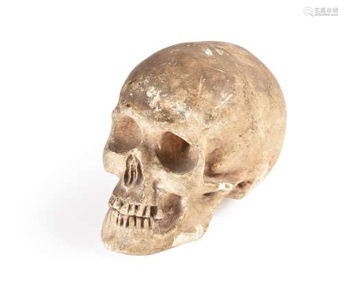 A PLASTER CAST OF A HUMAN SKULL, 19TH CENTURY