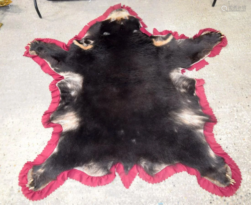 A Sun bear skin wall hanging/rug with claws. 69 x 83cm