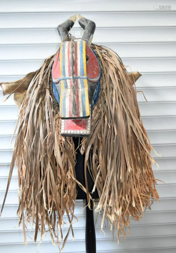 An African tribal Baule Goli Glin mask & costume. 110 x