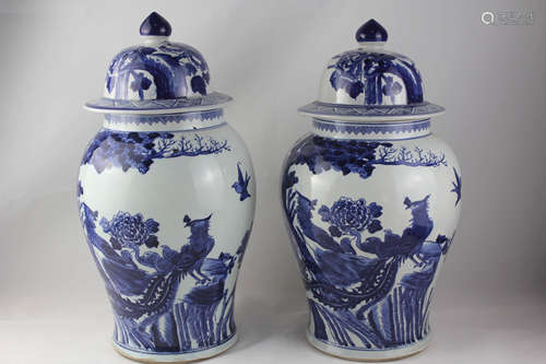 A Pair of Blue and White Flower with Bird Porcelain Jar