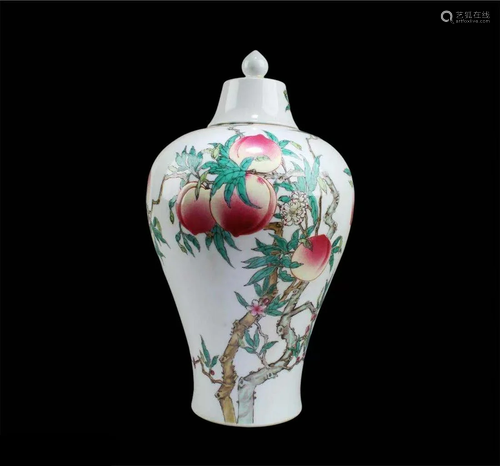 Chinese Porcelain Meiping Vase