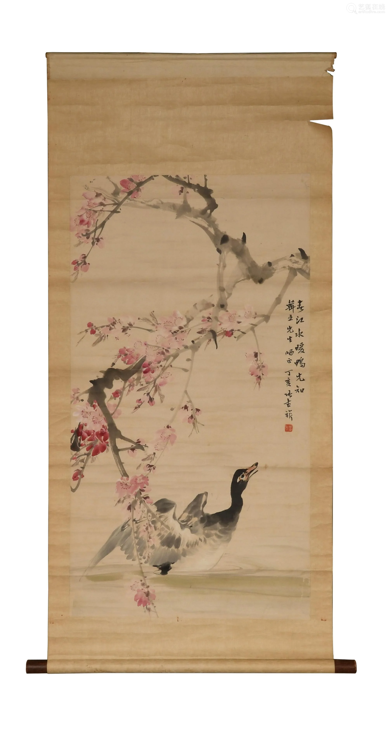 chinese painting of flowers and ducks by zhang shuqi张书祈 春.