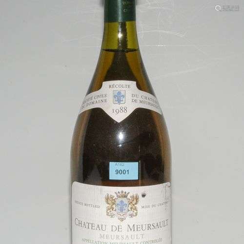 Lot Chateau de Meursault