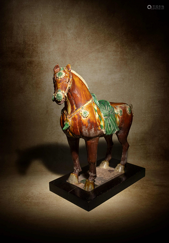 ASancai Glazed Pottery Figure of a Standing Horse