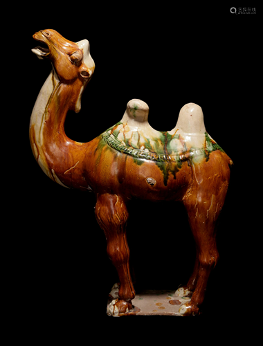 A Sancai Glazed Pottery Figure of a Camel