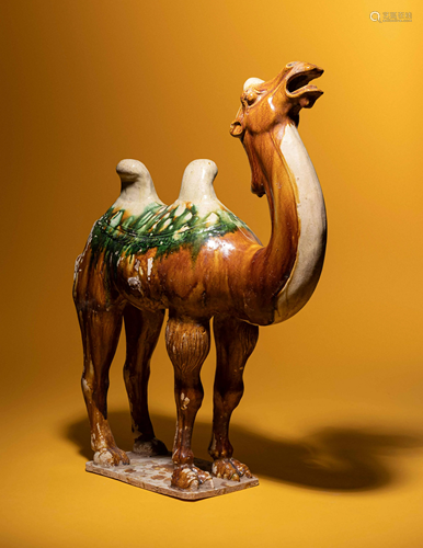 A Sancai Glazed Pottery Figure of a Camel