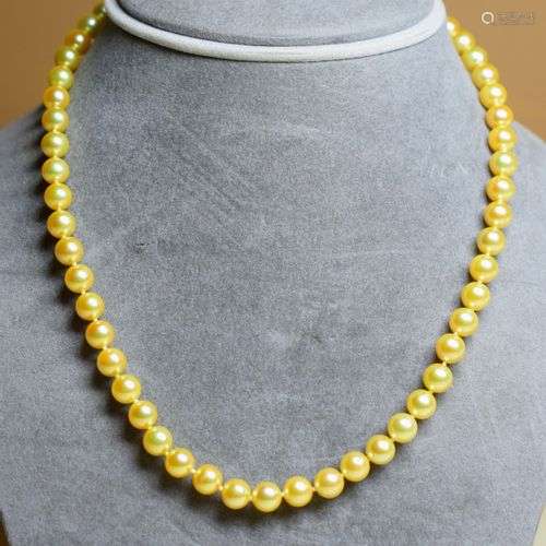 Très rare collier de perles couleur GOLD AKOYA (D: 7-7,5 mm)...