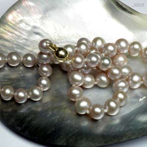 Très beau collier en perles de culture (D: 10 - 10,5 mm) trè...