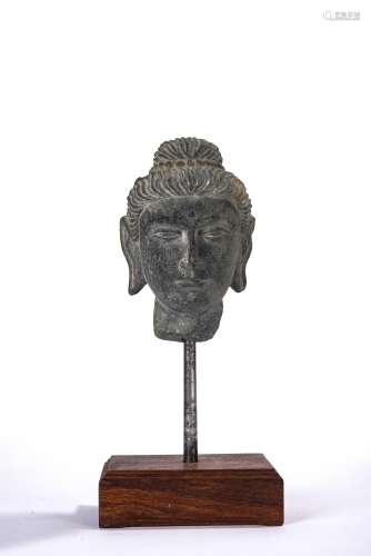 Gandhara Style Gray Schist Head of Buddha