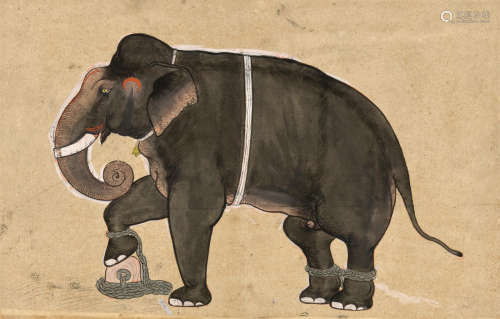 A ROYAL ELEPHANT