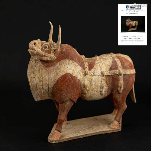 Painted pottery bull, Chinese Northern Qi Dynasty