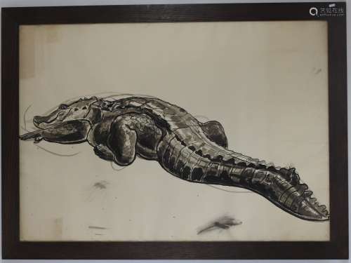 Yvonne HANRIOT GIRAUD (1898-1960) : Etude de crocodile. Lavi...
